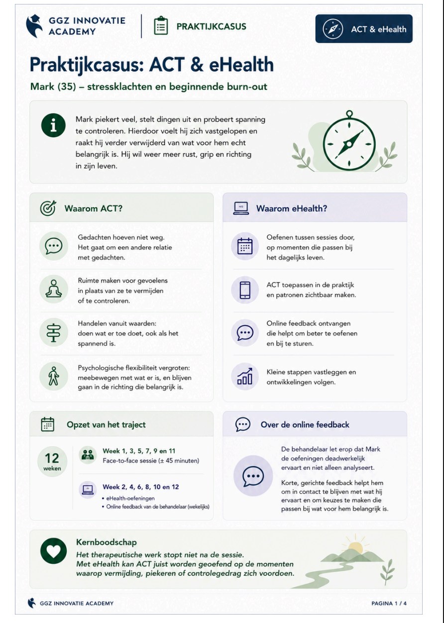 Voorbeeld van een werkblad met een uitgewerkte praktijkcasus